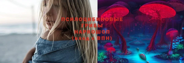 ГАЛЛЮЦИНОГЕННЫЕ ГРИБЫ Алексеевка