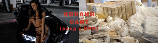 гашик Надым