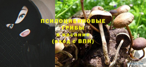 гашик Надым